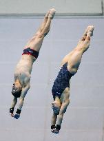 Diving World Series