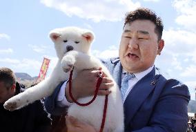 Puppy presented to ex-sumo grand champion Asashoryu