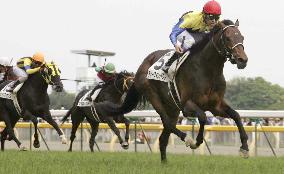 (1)Deep Impact outclasses field in Japanese Derby