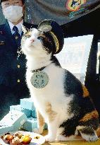 Cat stationmaster Tama remains popular many days after death