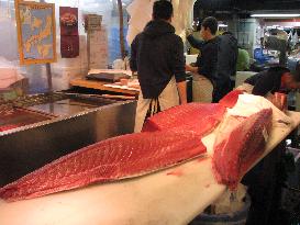 FEATURE: New Year fish, sushi, and treading lightly at Tsukiji market