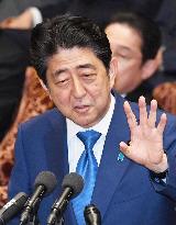 Bringing collateral branches back to imperial family is option: Abe