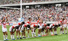 Battling Japan beaten by Ireland