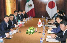 Japanese, Mexican leaders meet in Vietnam