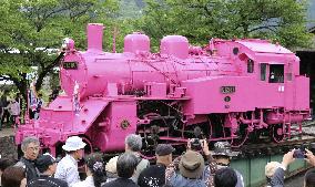 Pink steam locomotive