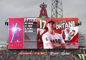 Baseball: Angels' Ohtani