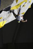 Sport Climbing: Lead Japan Cup