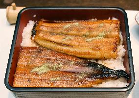 Broiled eel sprinkled with precious pepper served in Kobe