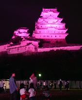 Castle illuminated in pink for campaign against breast cancer