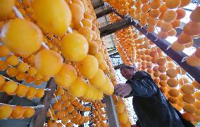 Fukushima farmer makes dried persimmons