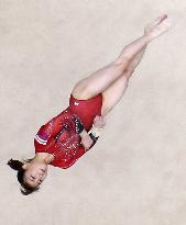 Gymnastics: Japan all-round title