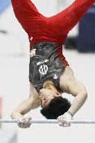 Gymnastics: Japan all-round title