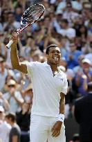 Tsonga defeats Federer at Wimbledon q'finals