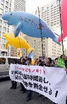 Tokyo rally against relocation of U.S. base in Okinawa