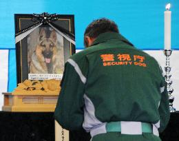 Tokyo police hold funeral for police dog