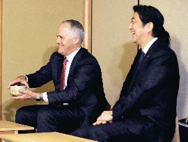 Australian PM Turnbull attends Japanese tea ceremony