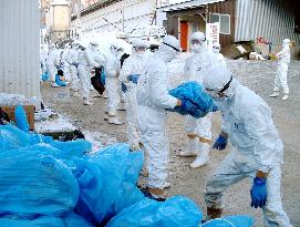 (3)Bird flu scare in Japan