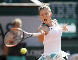 Tennis: Halep reaches French Open final