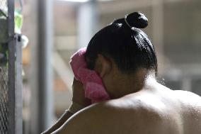 Scenes of sumo