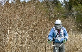 Radiation cleanup work begins in Fukushima nuclear plant town