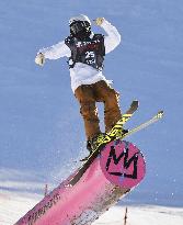 Freestyle skiing