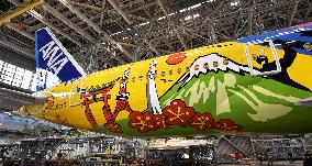 ANA unveils Tokyo Olympics-themed plane