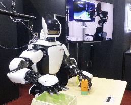 Humanoid robot