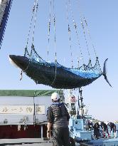 Japan' "scientific research" whaling