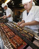 Eel-eating day in Japan