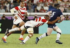 Rugby World Cup in Japan: Japan v Scotland