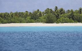 Bikini Island