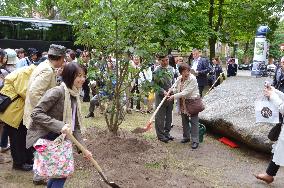 Cherry trees planted in Potsdam 70 years after A-bombings