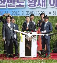S. Korea releases artificially bred oriental storks for 1st time
