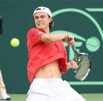 Nishikori, Japan aiming high after Davis Cup playoff sweep