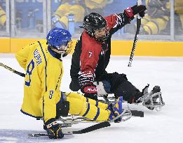 Pyeongchang Paralympics