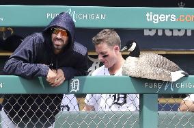 Baseball: Lucky goose decoy