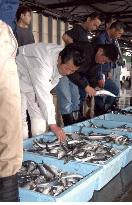 Level of resources of coastal fish in Japan low: Fisheries Agenc