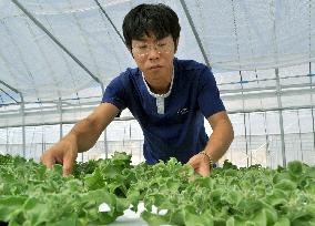 Universities active in development of new foodstuffs