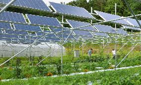 Solar power panels shared by experimental farm in northern Japan town