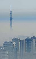 Tokyo Skytree behind misty skyscrapers