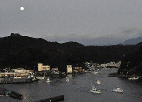 Dolphin hunt in Taiji