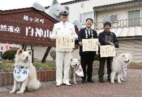 Akita dog Wasao charms passengers