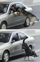 Counterterrorism drill conducted to prepare for APEC