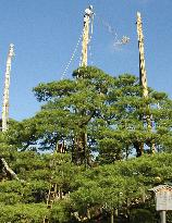 Winter nears at Kenrokuen park