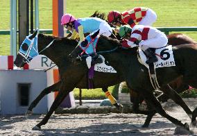 Jockey Take reaches 3,000 career wins