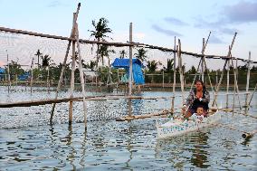 Japanese quake-hit city assists storm-ravaged Filipino fishermen