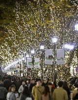 Tokyo's Omotesando shopping street illuminated