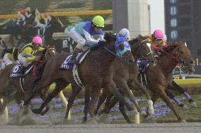 Admire Don storms to victory at Feb. Stakes