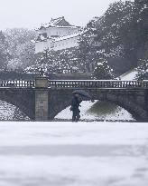 Heavy snow blankets eastern Japan