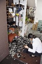Strong quake hits southwestern Japan, no tsunami warning issued